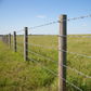 GI Barbed Wire
