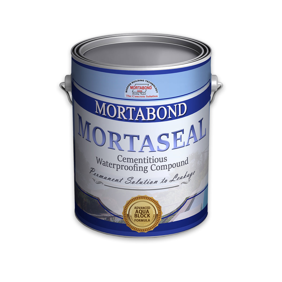 Mortaseal Cementitious Waterproofing Compound LPM Express LPM